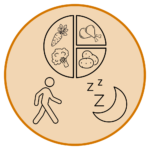 Icon displays elements of diabetes such as exercise, good eating, and sleep