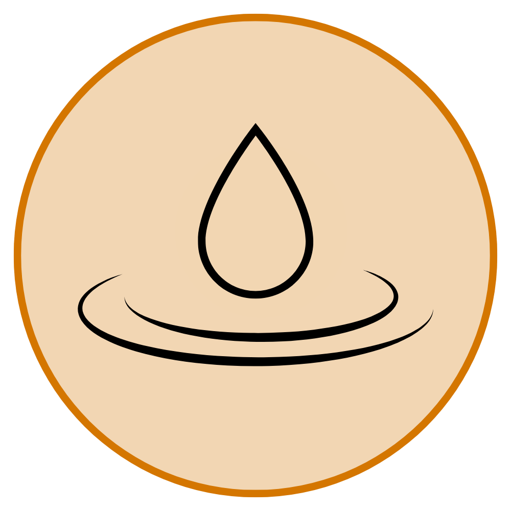 Lotus flower representing the Mindfulness tools for daily living program. 